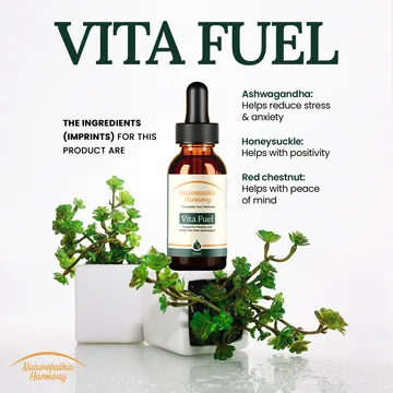 VitaFuel ingredients and usage details